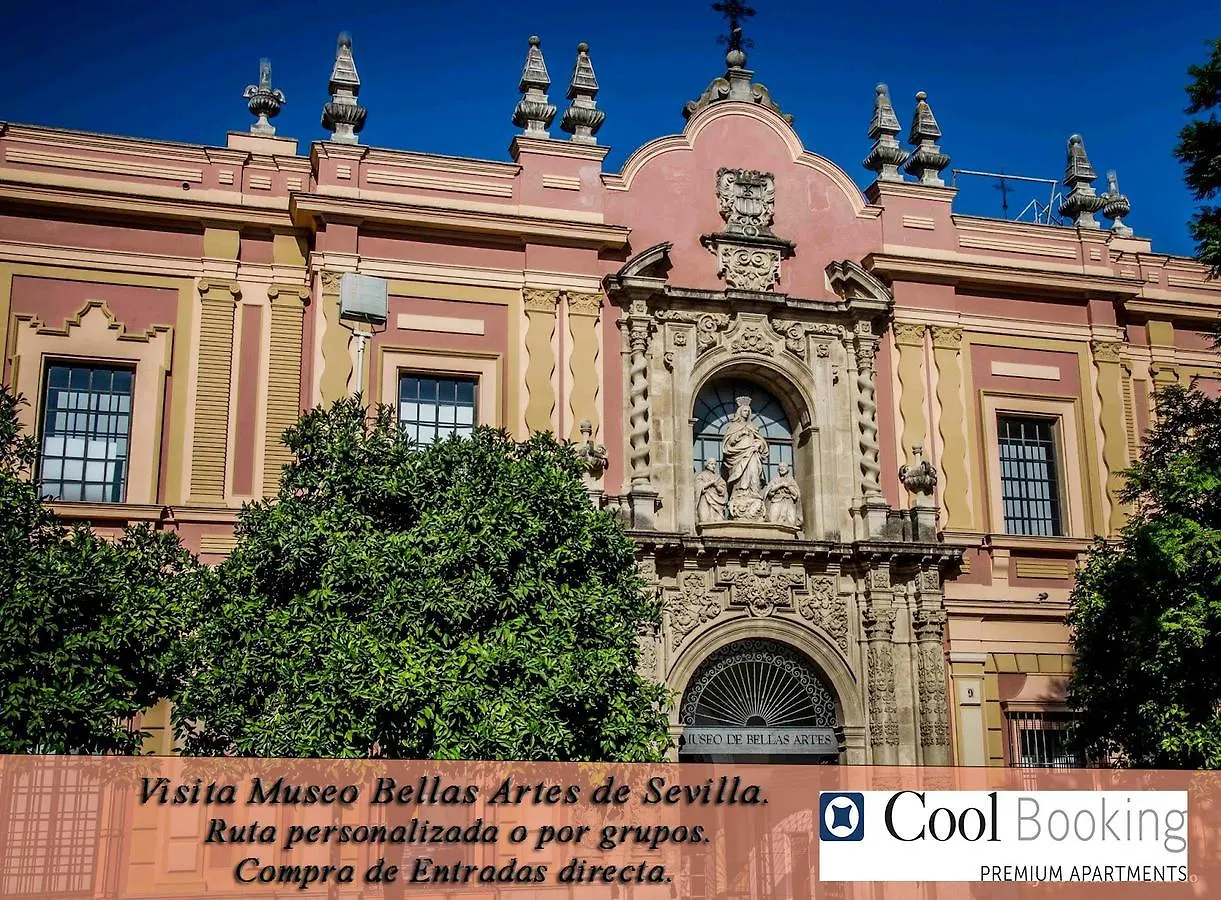 Apartamentos Castilla -Triana contacts